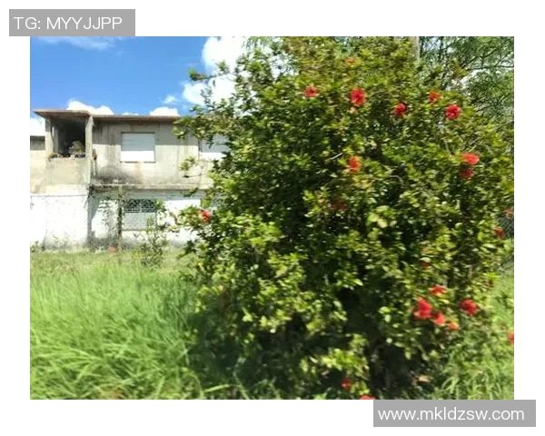 怀旧之旅回顾曾经的足球明星海报与他们的辉煌岁月