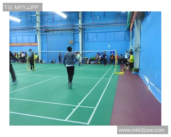 西安羽毛球队展现灵活性与战术智慧的精彩表现分析 西安羽毛球队展现灵活性与战术智慧的精彩表现分析