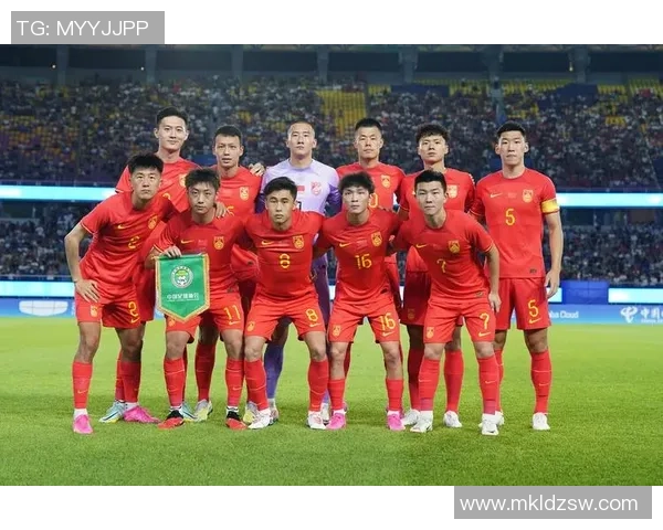 数据分析:西安足球队的团队协作表现 数据分析:西安足球队的团队协作表现