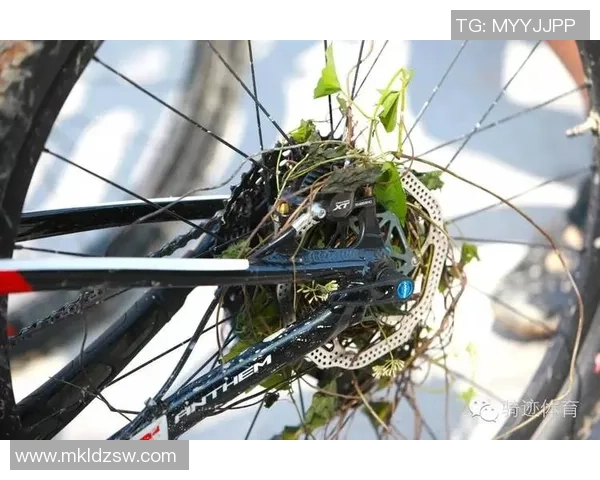 赛后复盘:重庆极限运动队 vs 深圳极限运动队的灵活性