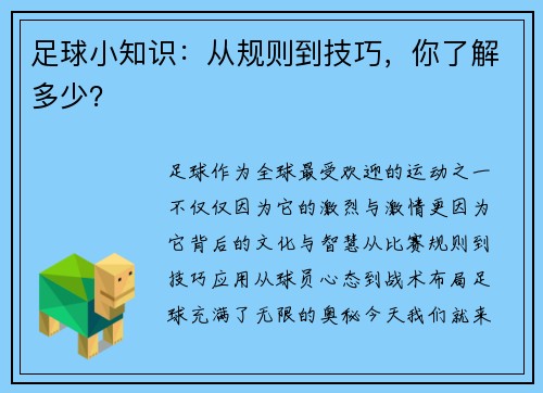 足球小知识：从规则到技巧，你了解多少？