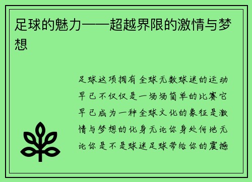 足球的魅力——超越界限的激情与梦想