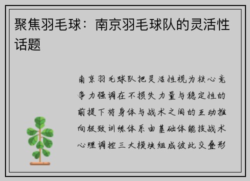 聚焦羽毛球：南京羽毛球队的灵活性话题