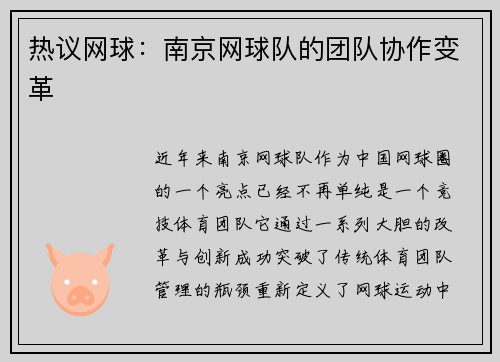 热议网球：南京网球队的团队协作变革