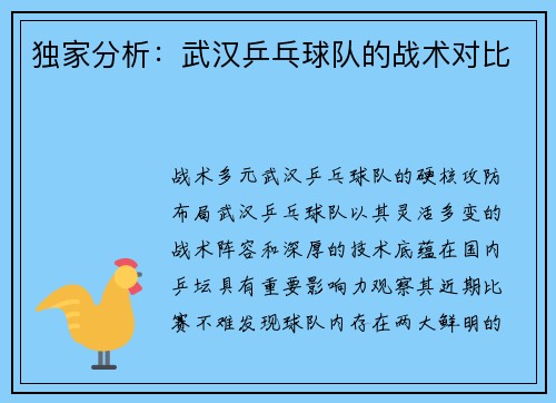 独家分析：武汉乒乓球队的战术对比